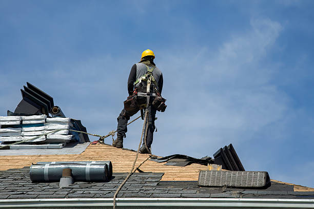 Professional Roof Installation technician working in Hall, MT